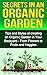 Organic Garden: Tips and St...