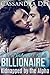 A Baby for the Billionaire 3: Escape from Paradise (Kidnapped by the Alpha, #3)