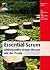 Essential Scrum: Umfassendes Scrum-Wissen aus der Praxis