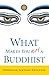 What Makes You Not a Buddhist by Jamyang  Khyentse