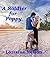 A Soldier for Poppy: A clean romance about a second chance at love. (Clean and Wholesome Romance Book 1)