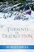 Torrents of Destruction (Gallagher Series Book 1)