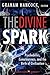 The Divine Spark: A Graham Hancock Reader: Psychedelics, Consciousness, and the Birth of Civilization