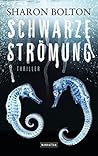 Schwarze Strömung