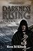 Darkness Rising (Book 5: Broken) (Prism)