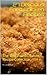 27 Delicious Fried Chicken Recipes: The Best Fried Chicken Recipe Collection - Mouth-Watering Fried Chicken Dishes – A Stunning Fried Chicken Recipe Collection (Easy to Follow and Detailed Recipes)