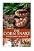 The Corn Snake
