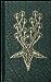 The Devil's Dozen Thirteen Craft Rites of The Old One