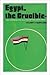 Egypt, the crucible: The unfinished revolution of the Arab world