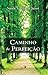 Caminho de Perfeição