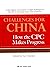 Challenges for China: How t...