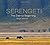 Serengeti: The Eternal Begi...