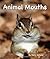 Animal Mouths
