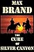 The Cure of Silver Canyon: (A Western Mystery)