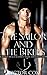 The Sailor and the Bikers: ...
