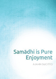 Samādhi is Pure Enjoyment