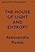 Architecture Words 11: The House of Light and Entropy