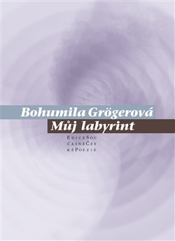 Můj labyrint (Paperback)