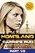 Homeland by Andrew Kaplan