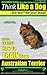 Australian Terrier, Australian Terrier Training, AAA AKC | Think Like a Dog, But Don’t Eat Your Poop! | Australian Terrier Breed Expert Training |: Here's EXACTLY How To Train Your Australian Terrier