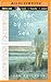 Year by the Sea, A by Joan  Anderson
