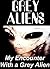 Grey Aliens - My Encounter with a Grey Alien