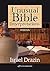 Unusual Bible Interpretations: Joshua (BIBLE/TANACH Book 4)