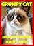 Grumpy Cat Hilarious New Memes & Funny Jokes