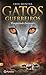 Tempestade Iminente by Erin Hunter Tempestade Iminente by Erin Hunter