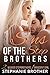 Sins of the Stepbrothers (2 Wicked Stepbrothers 1 Innocent Girl, #1)