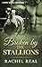 Broken by the Stallions by Rachel Real