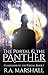 The Portal and the Panther ...