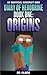 Origins (The Herobrine Stor...