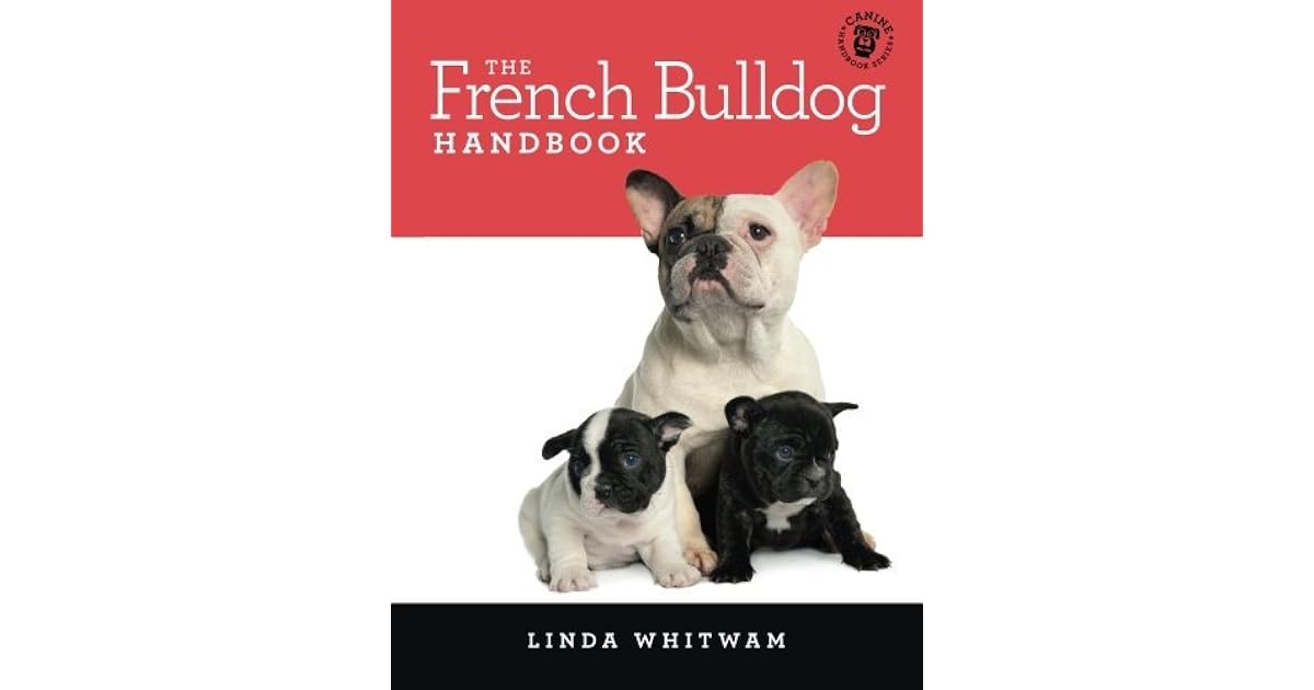 french bulldog saviours rescue