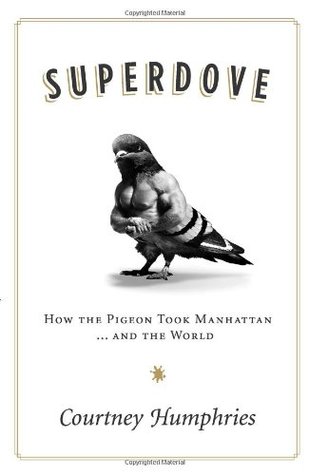 Superdove: How the Pigeon Took Manhattan ... And the World (Hardcover)