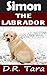 Simon the Labrador