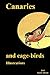 Canaries and cage-birds Ill...