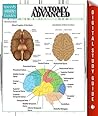 Anatomy Advanced