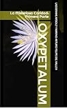 Oxypetalum:  La Misteriosa Caridad:  Primera Parte
