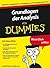 Grundlagen der Analysis für Dummies (German Edition)