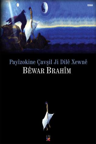 Payîzokine Çavşil Ji Dilê Xewnê (Paperback)