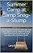 Summer Camp at Camp Snag-a-...