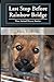Last Stop Before Rainbow Bridge: True Animal Rescue Stories