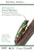 Field Guide to the Jewel Beetles of Northeastern North America by Steven M. Paiero