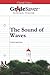 GradeSaver (TM) ClassicNotes: The Sound of Waves