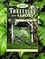 Trellises and Arbors by Scott Atkinson