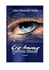 Cry Among The Rain Clouds: The Belize Detective
