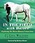In The Field With Horses by Lisa Walters