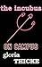 The Incubus On Campus: The Adventures of an Incubus (Incubus, Inc. Book 1)