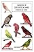 Fundamentals of Color Genet...